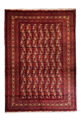 #786-8421 Afghani Beshir design wool on cotton base